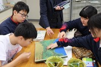 文化庁による「文化芸術による子供育成推進事業（子供・夢・アート・アカデミー）《絵画（日本画）》」